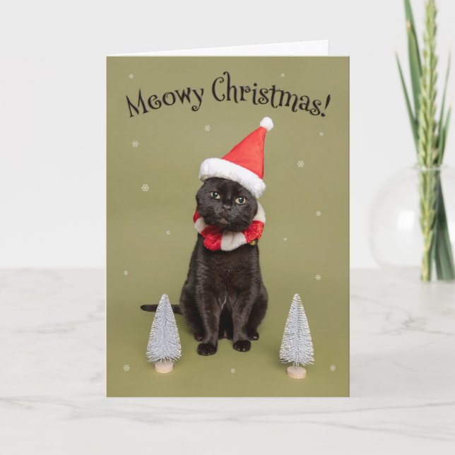 Merry Christmas For Anyone Funny Cat in Santa Hat  Holiday Card (Front)