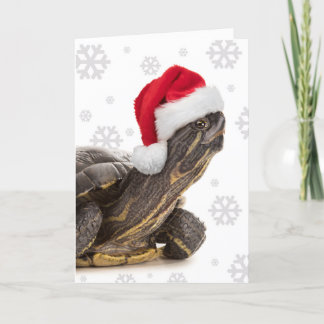 Merry Christmas For Anyone Turtle in Santa Hat Holiday Card
