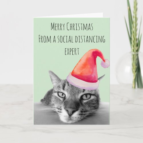 Merry Christmas form Social Distancing Expert Cat Card