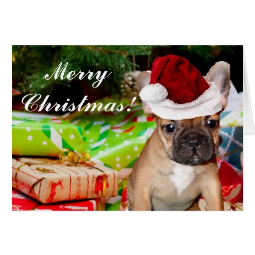 Merry Christmas French Bulldog Greeting card | Zazzle