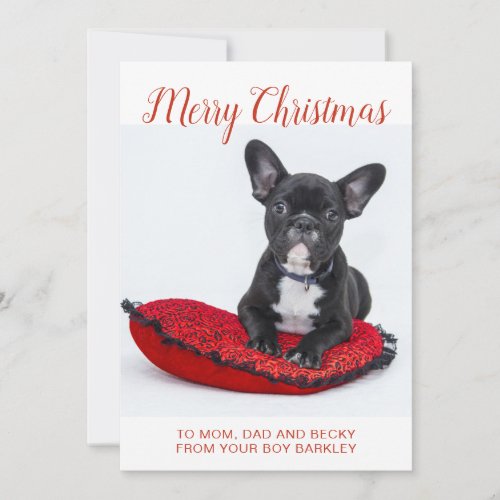 Merry Christmas French Bulldog On Pillow To Family Holiday Card