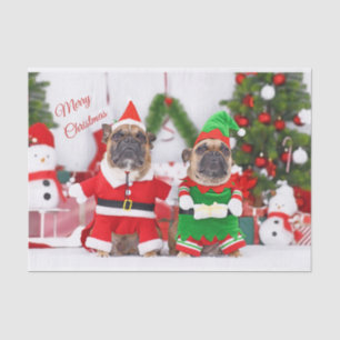 Merry Christmas French Bulldogs Santa and Elf Tissue Paper