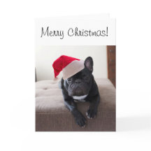 Merry Christmas Frenchie Card