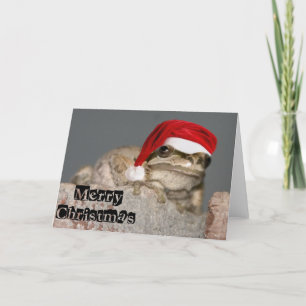 Merry Christmas Frog Holiday Card