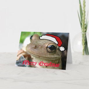 Merry Christmas Froggy Holiday Card