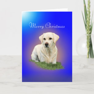 Merry Christmas from a White Labrador Holiday Card