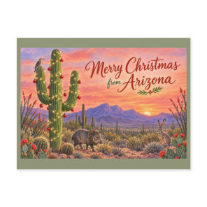 Merry Christmas from Arizona - Desert Wildlife Postcard