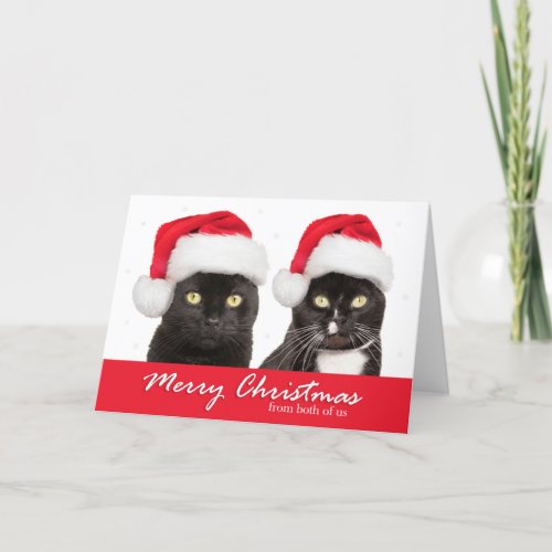 Merry Christmas From Both of Us Cats in Santa Hats Holiday Card