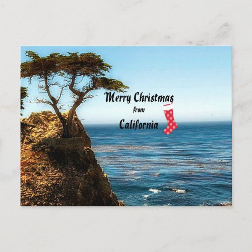 Merry Christmas from California Holiday Postcard