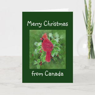 Merry Christmas from Canada, Cardinal Bird Holiday Card