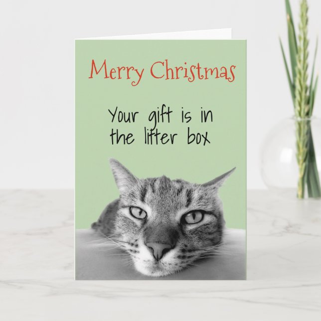 Merry Christmas From Cat Gift is in Litter Box Card (Front)