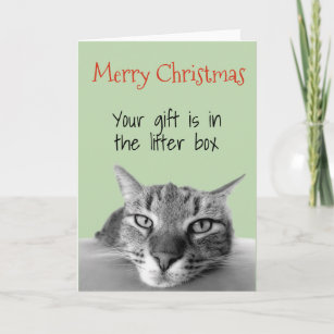 16+ Boxed Cat Christmas Cards 2021
