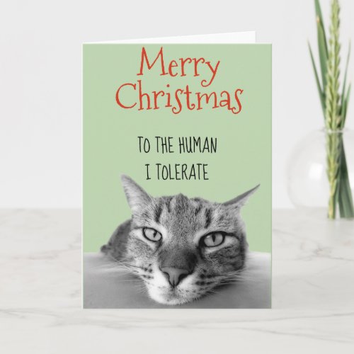 Merry Christmas From Cat To Human I Funny Card