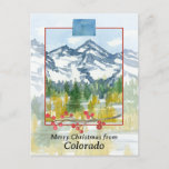 Merry Christmas from Colorado Rocky Mountains Postcard