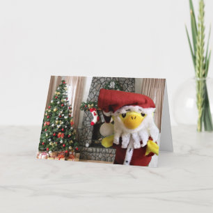 Merry Christmas from Danny Duck Announcement