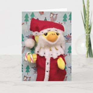 Merry Christmas from Danny Duck Christmas card