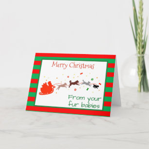 Merry Christmas from Dogs Multiple Pets Card