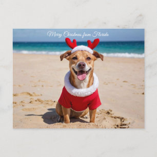 Merry Christmas from Florida Beach Holiday Postcard