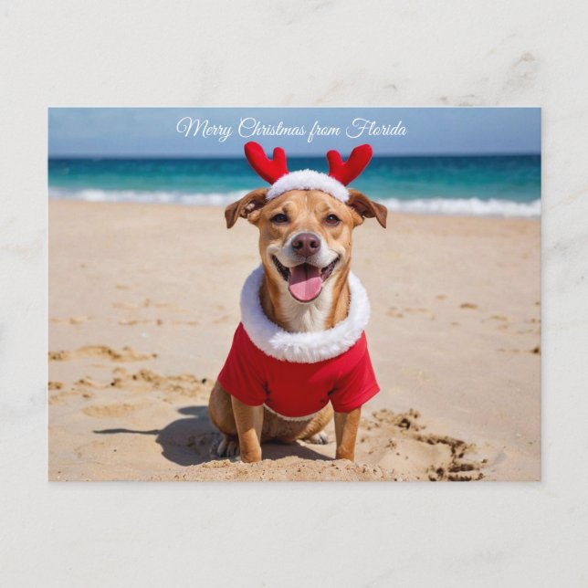 Merry Christmas from Florida Beach Holiday Postcard (Front)