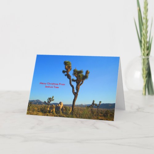 Merry Christmas From Joshua Tree Holiday Card