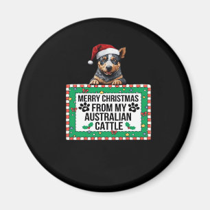 Merry Christmas From My Australian Cattle Classic Magnet