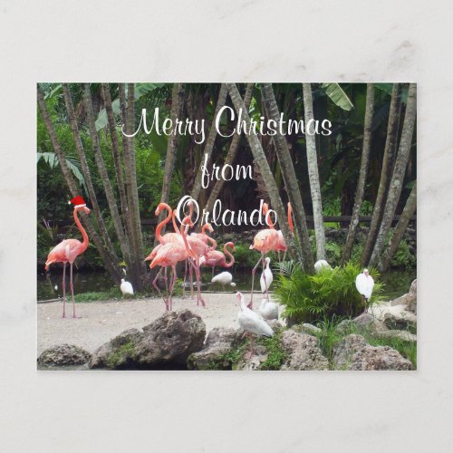 Merry Christmas from Orlando Holiday Postcard