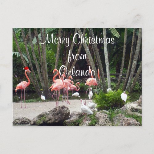 Merry Christmas from Orlando Holiday Postcard