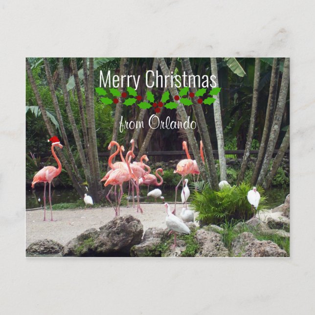 Merry Christmas from Orlando - Pink Flamingos Holiday Postcard (Front)