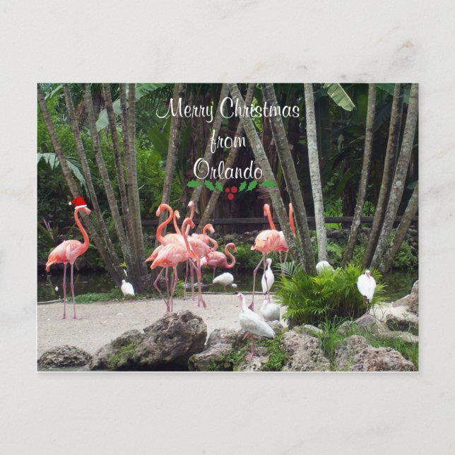 Merry Christmas from Orlando - Pink Flamingos Holiday Postcard (Front)