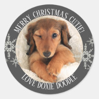 Merry Christmas from Photo