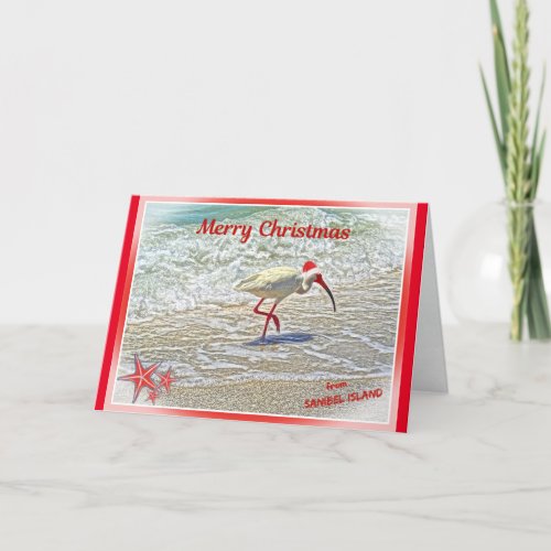 Merry Christmas from Sanibel Island FL White Ibis  Holiday Card