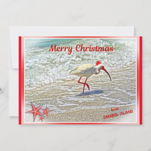 Merry Christmas from Sanibel Island FL White Ibis  Holiday Card