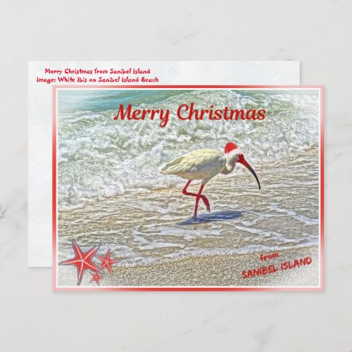 Merry Christmas from Sanibel Island FL White Ibis  Holiday Postcard