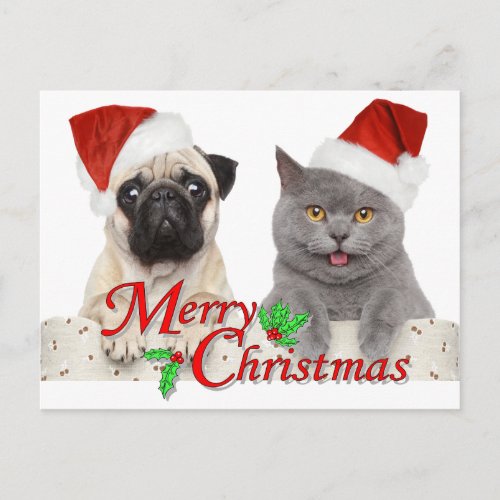 Merry Christmas from Santa Cat and Dog Postcard