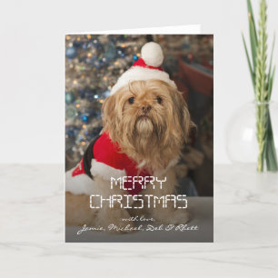 Merry christmas from Santa paws Holiday Card