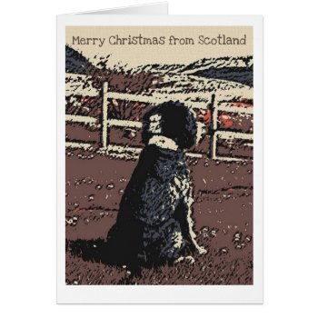 Merry Christmas From Scotland Card by PawsForaMoment at Zazzle