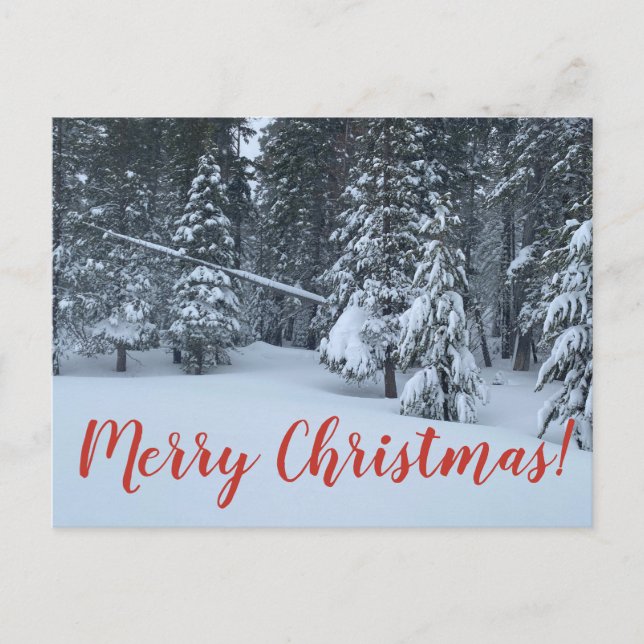 Merry Christmas from Tahoe City! Postcard (Front)