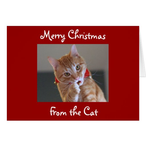 Merry Christmas From the Cat Greeting Card | Zazzle