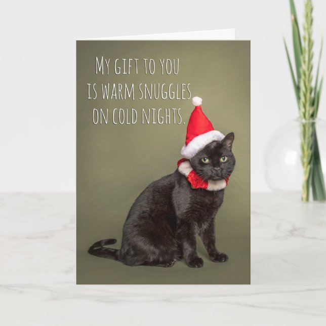 Merry Christmas From The Cat Humor  Holiday Card (Front)