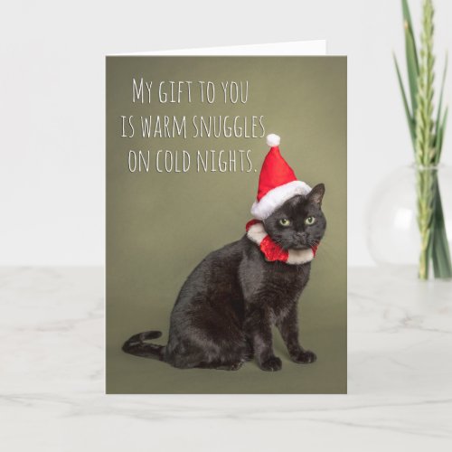 Merry Christmas From The Cat Humor  Holiday Card