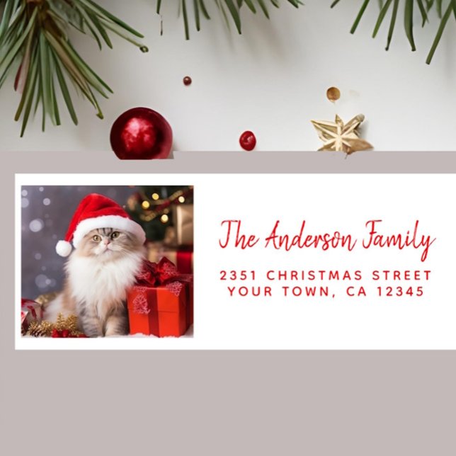 Merry Christmas from the Cat in a Santa Hat Label (Creator Uploaded)