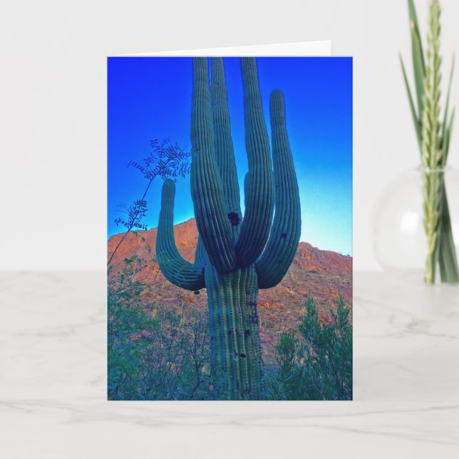 Merry Christmas from the Desert Arizona Holiday Card (Front)