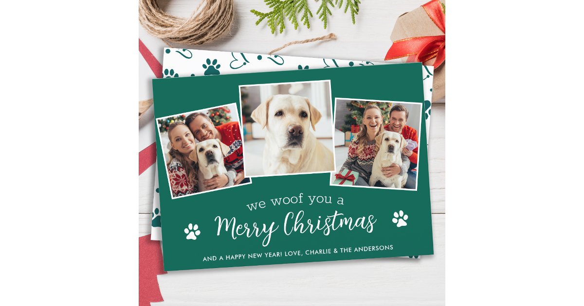Merry Christmas From The Dog Custom 3 Pet Photo Holiday Card | Zazzle