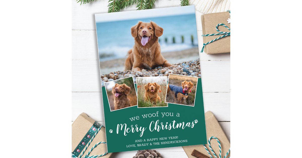 Merry Christmas From The Dog Fun Pet Photo Collage Holiday Card | Zazzle