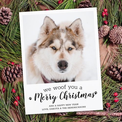 Merry Christmas From The Dog Modern Pet Photo  Holiday Postcard