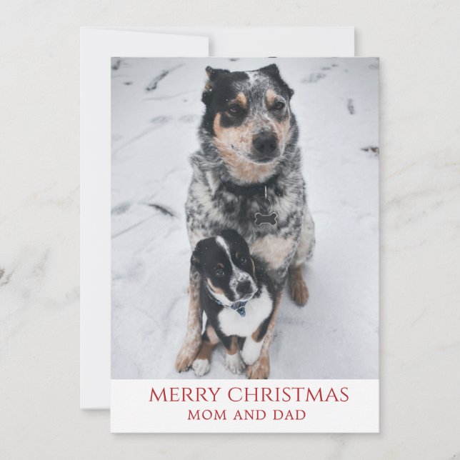 Merry Christmas From The Dogs Holiday Card (Front)
