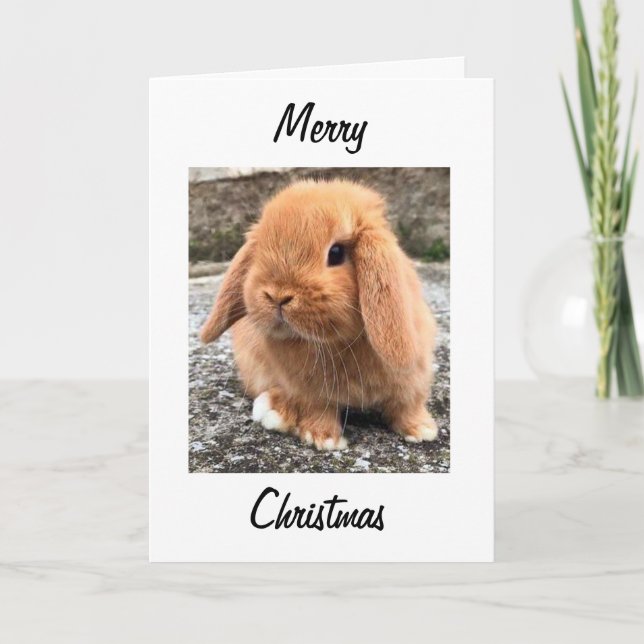 **MERRY CHRISTMAS** from THE "EASTER BUNNY" Holiday Card (Front)