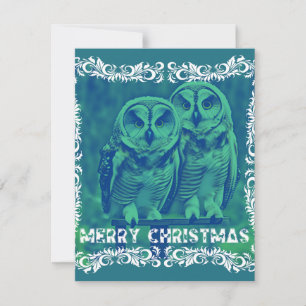 Merry Christmas from the Owls Green Note Card