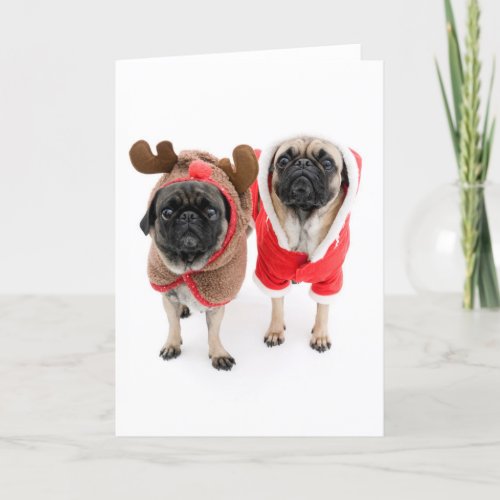 Merry Christmas from the Pugs Holiday Card