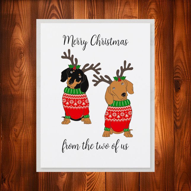 Merry Christmas From The Two Of Us Dachshunds Holiday Postcard (Merry Christmas From The Two Of Us Dachshunds Holiday Postcard)